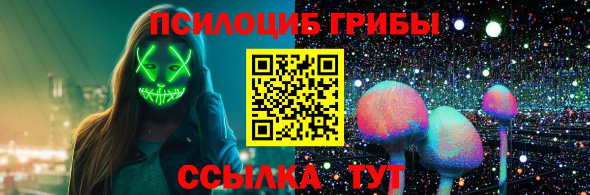 Псилоцибиновые грибы GOLDEN TEACHER  Вход с VPN  Димитровград 